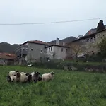 El Enebral En Potes Picos De Euopa *