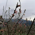 El Enebral En Potes Picos De Euopa דירה Colio
