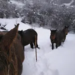 דירה El Enebral En Potes Picos De Euopa Colio