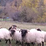 El Enebral En Potes Picos De Euopa