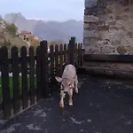 El Enebral En Potes Picos De Euopa * Colio
