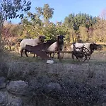 דירה El Enebral En Potes Picos De Euopa