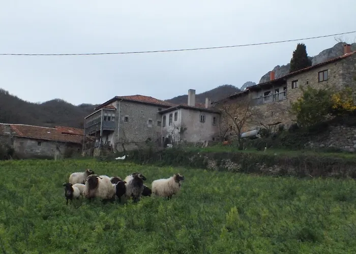 El Enebral En Potes Picos De Euopa *