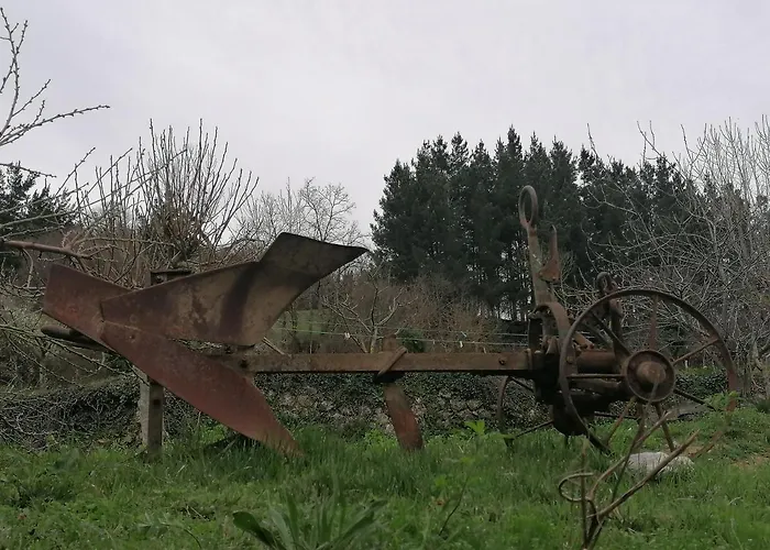 El Enebral En Potes Picos De Euopa * Colio