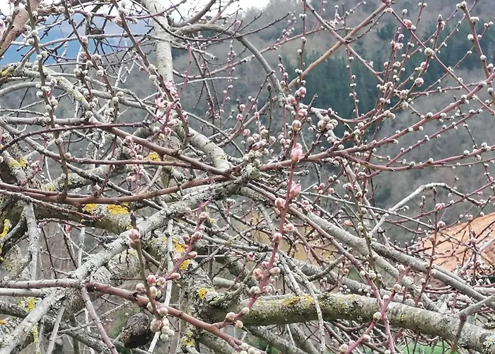 El Enebral En Potes Picos De Euopa