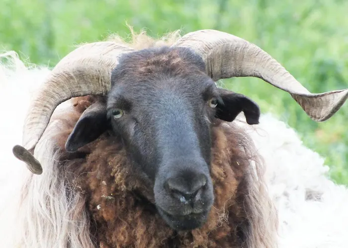 El Enebral En Potes Picos De Euopa דירה