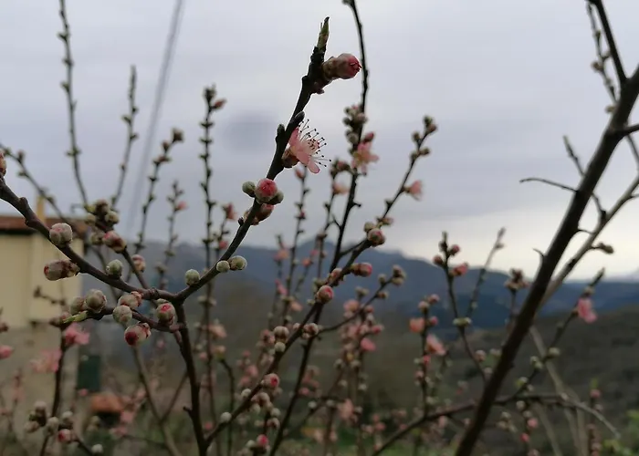 El Enebral En Potes Picos De Euopa דירה Colio