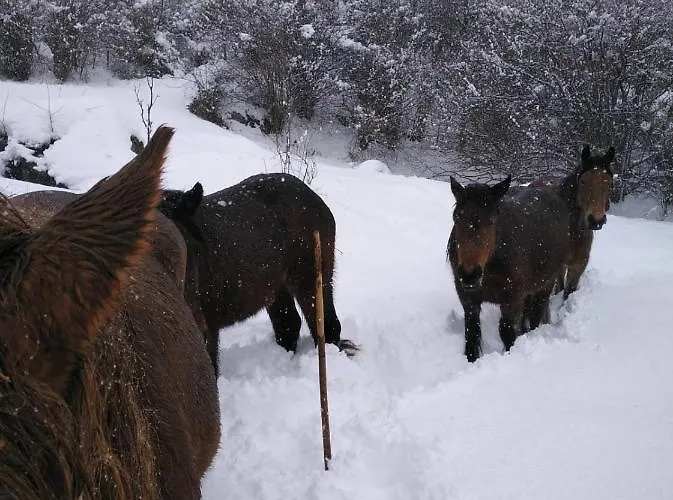 דירה El Enebral En Potes Picos De Euopa Colio