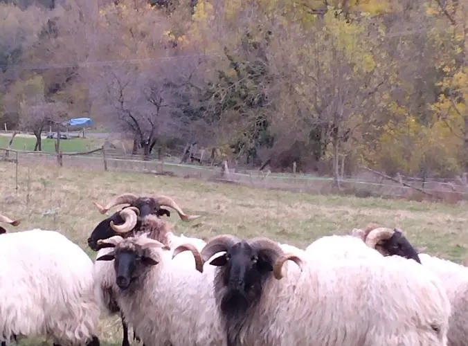 El Enebral En Potes Picos De Euopa