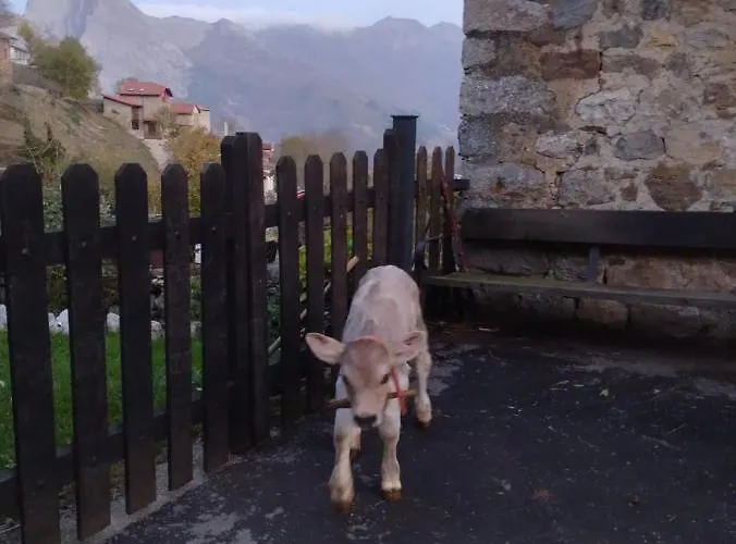 El Enebral En Potes Picos De Euopa * Colio