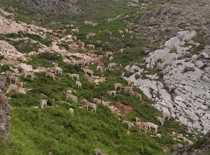 El Enebral En Potes Picos De Euopa Apartament