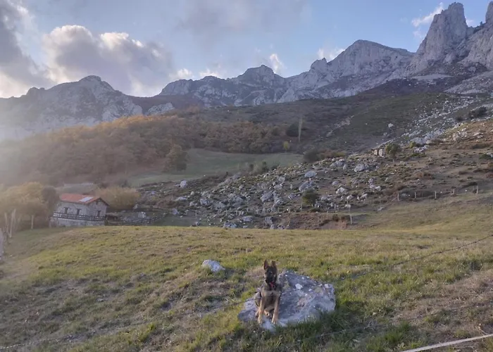 דירה El Enebral En Potes Picos De Euopa