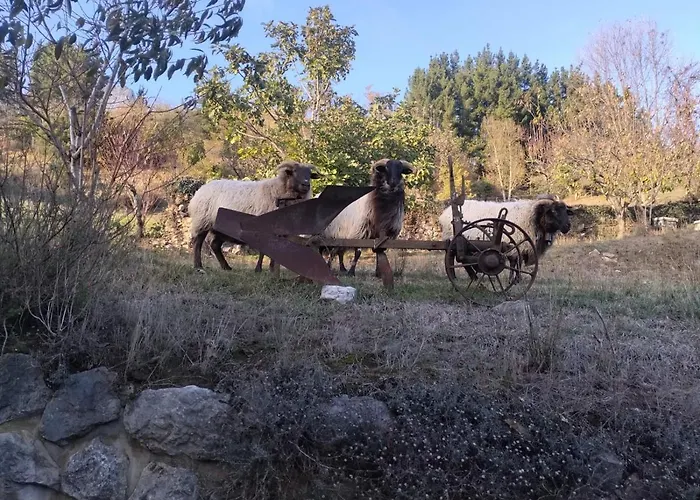 דירה El Enebral En Potes Picos De Euopa